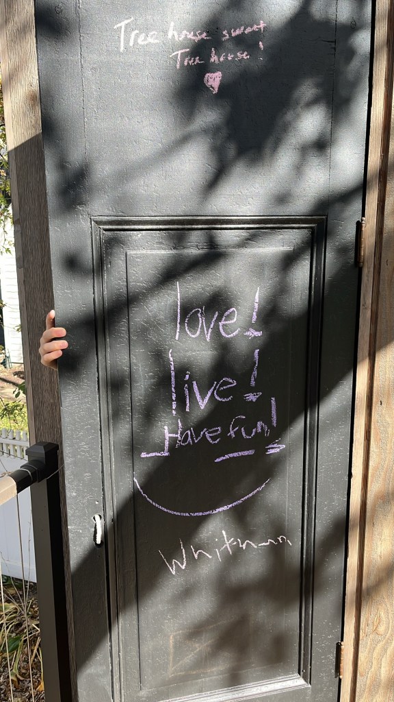 8ffb6971-8ed1-4976-8d9e-1cfa297ce074-1